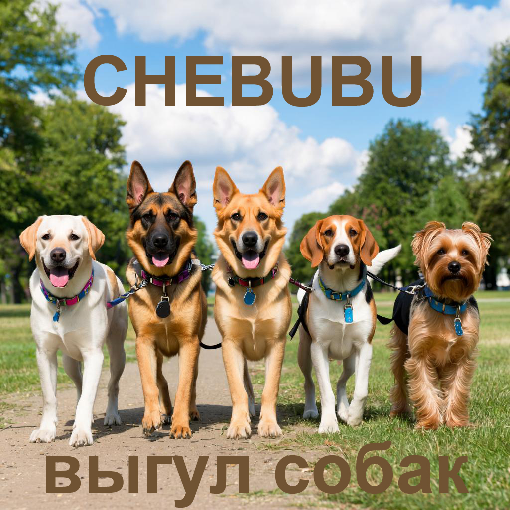 CHEBUBU - сервис выгула собак